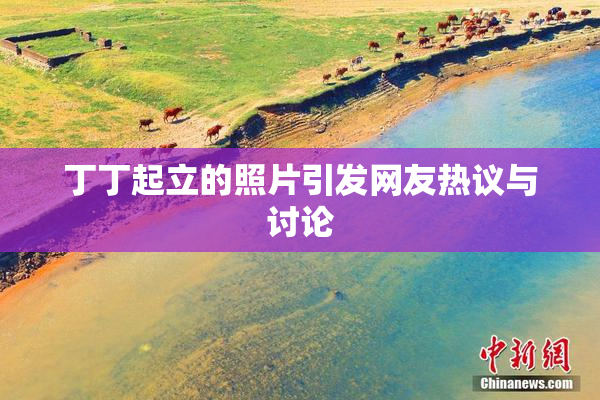 丁丁起立的照片引发网友热议与讨论