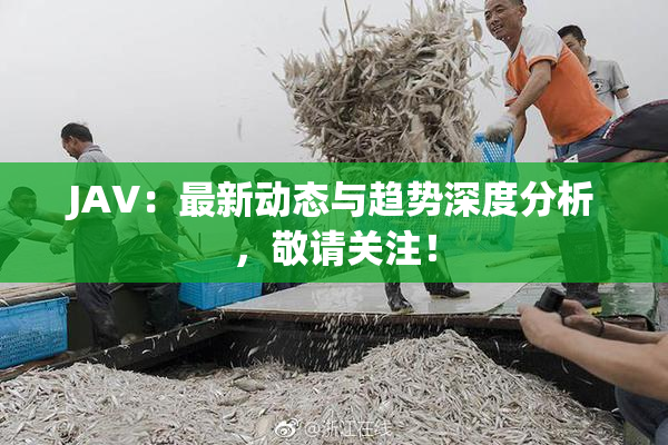 JAV：最新动态与趋势深度分析，敬请关注！