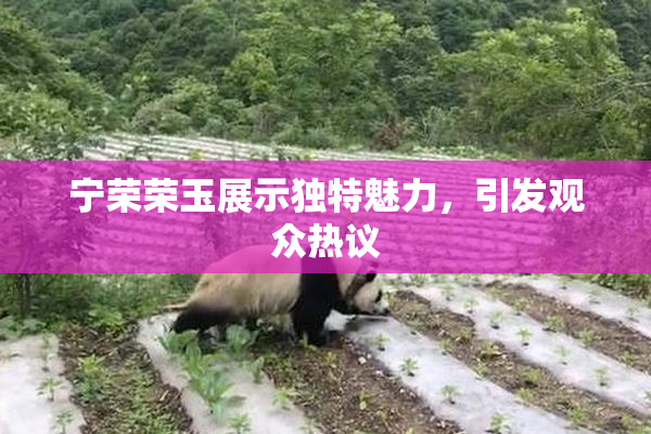 宁荣荣玉展示独特魅力，引发观众热议