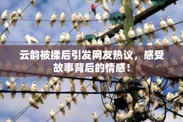 云韵被揉后引发网友热议，感受故事背后的情感！