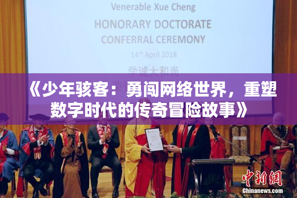 《少年骇客：勇闯网络世界，重塑数字时代的传奇冒险故事》