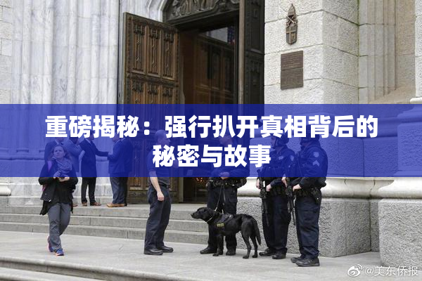 重磅揭秘：强行扒开真相背后的秘密与故事