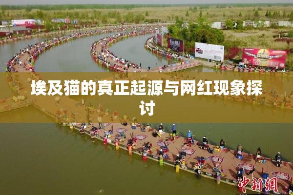 埃及猫的真正起源与网红现象探讨