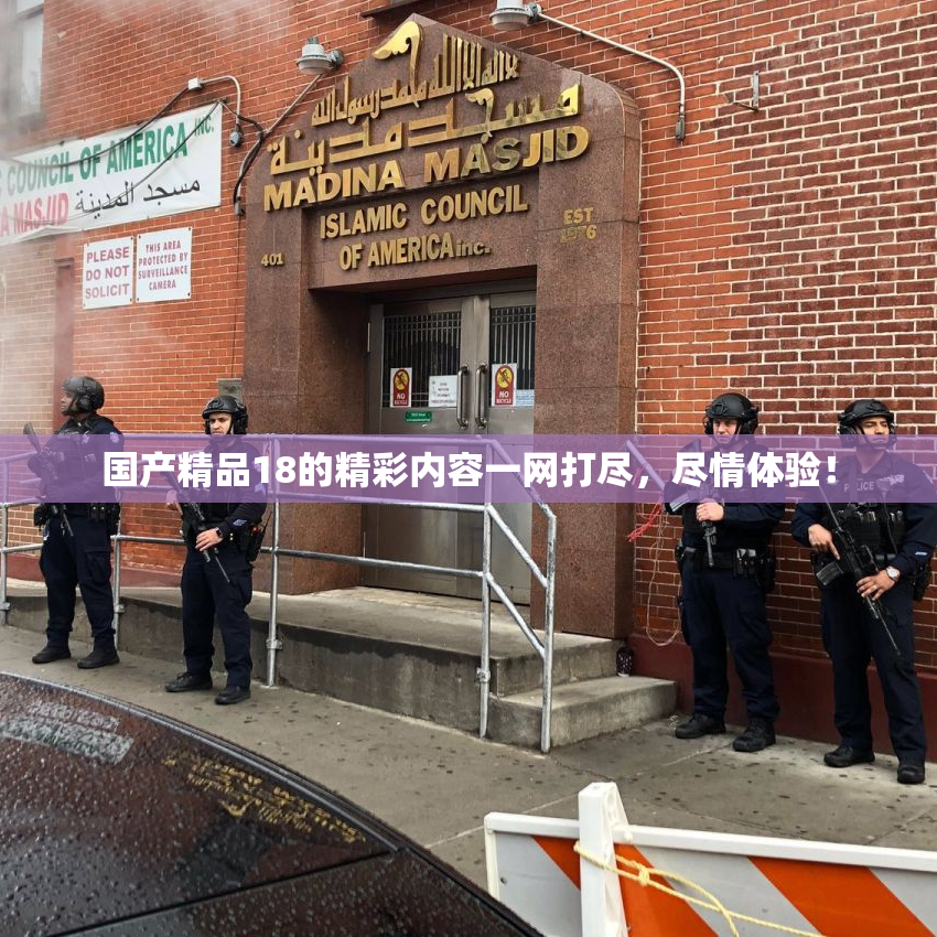 国产精品18的精彩内容一网打尽，尽情体验！