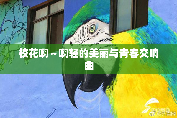 校花啊～啊轻的美丽与青春交响曲