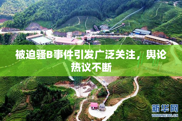 被迫骚B事件引发广泛关注，舆论热议不断