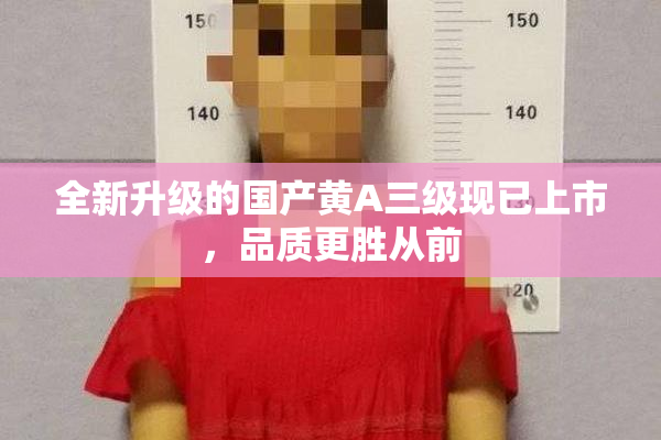 全新升级的国产黄A三级现已上市，品质更胜从前