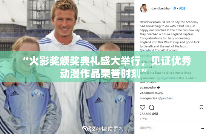 “火影奖颁奖典礼盛大举行，见证优秀动漫作品荣誉时刻”