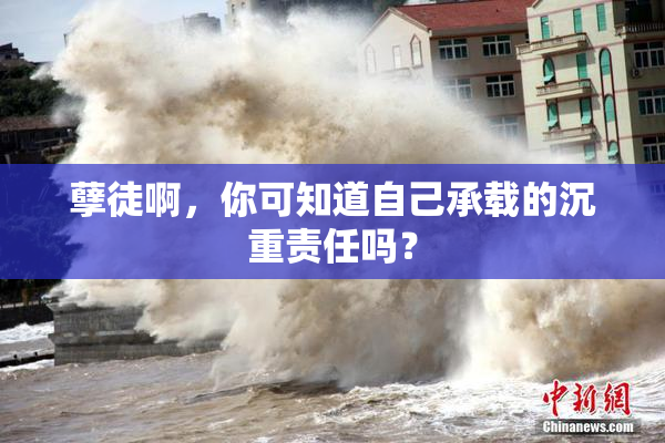 孽徒啊，你可知道自己承载的沉重责任吗？