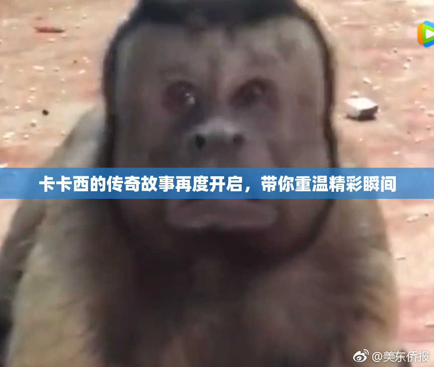 卡卡西的传奇故事再度开启，带你重温精彩瞬间