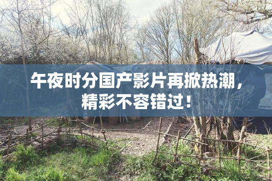 午夜时分国产影片再掀热潮，精彩不容错过！