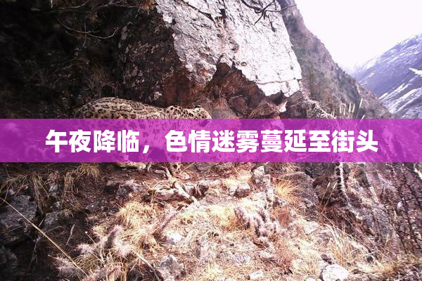 午夜降临，色情迷雾蔓延至街头