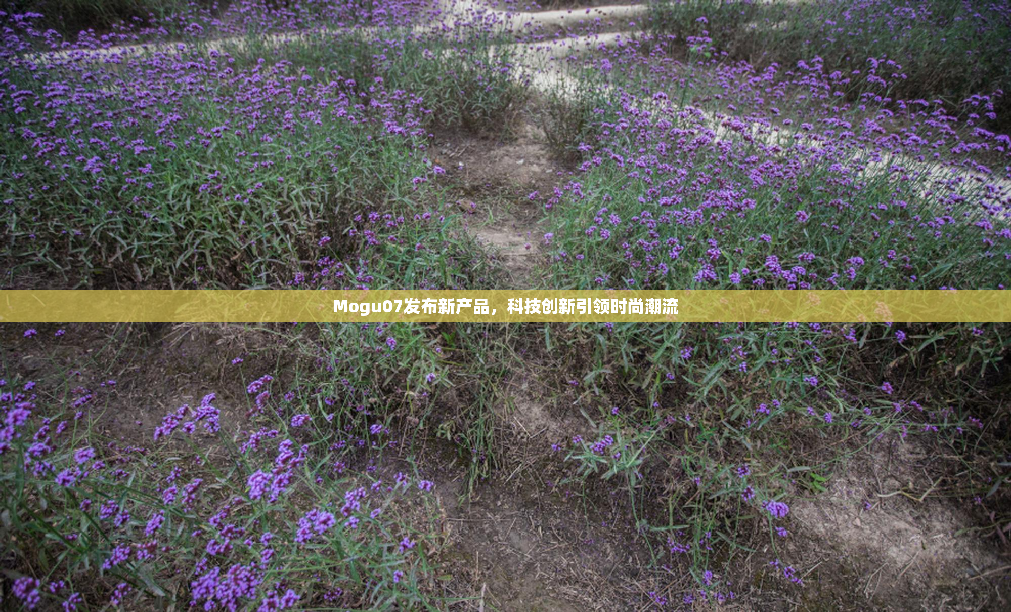 Mogu07发布新产品，科技创新引领时尚潮流