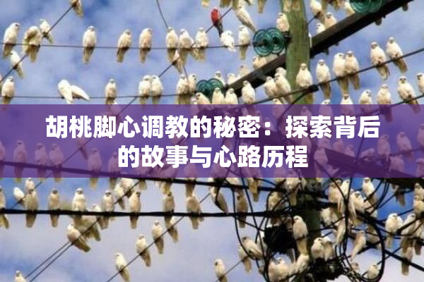 胡桃脚心调教的秘密：探索背后的故事与心路历程