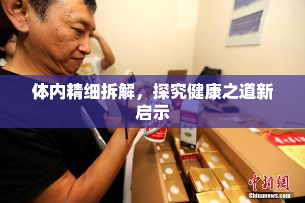体内精细拆解，探究健康之道新启示