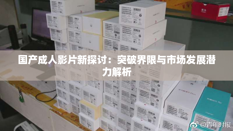 国产成人影片新探讨：突破界限与市场发展潜力解析