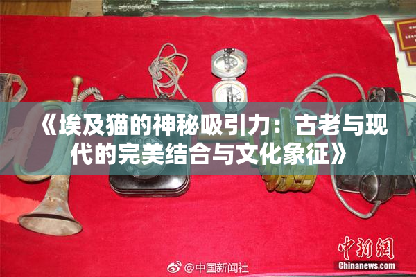 《埃及猫的神秘吸引力：古老与现代的完美结合与文化象征》