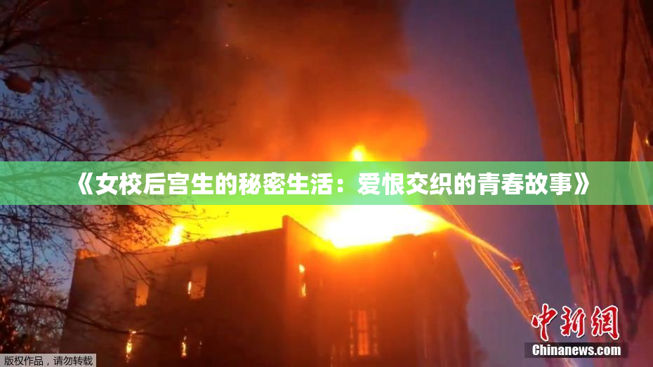 《女校后宫生的秘密生活：爱恨交织的青春故事》