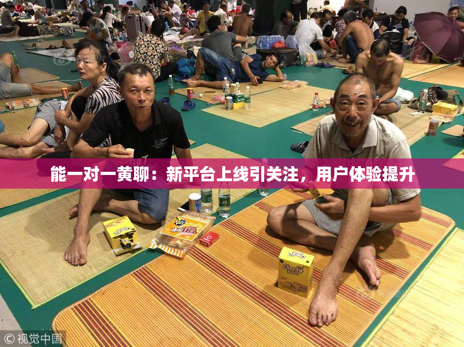 能一对一黄聊：新平台上线引关注，用户体验提升