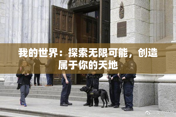 我的世界：探索无限可能，创造属于你的天地