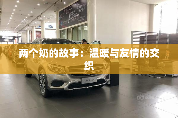两个奶的故事：温暖与友情的交织