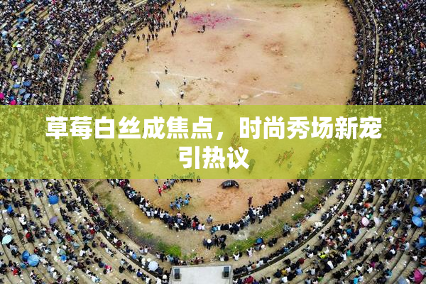 草莓白丝成焦点，时尚秀场新宠引热议