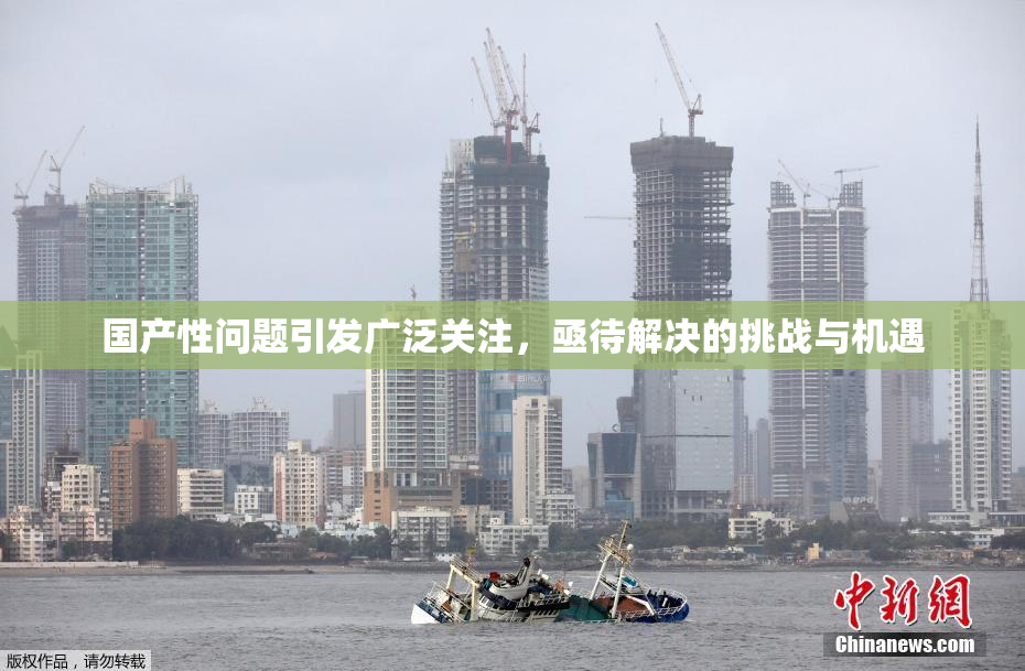 国产性问题引发广泛关注，亟待解决的挑战与机遇