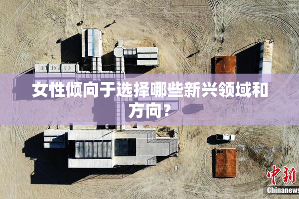 女性倾向于选择哪些新兴领域和方向？