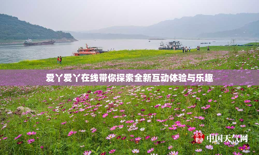 爱丫爱丫在线带你探索全新互动体验与乐趣