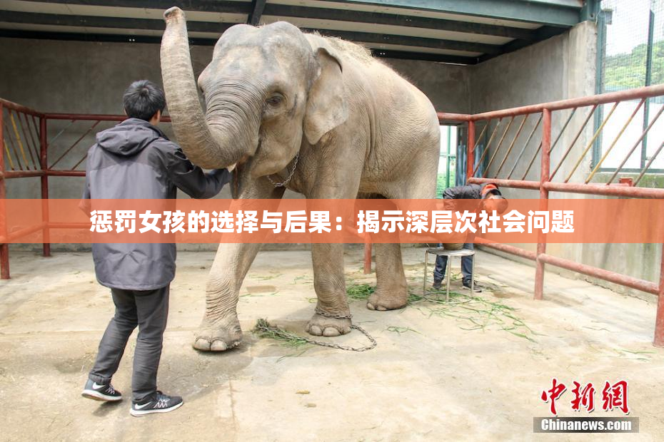 惩罚女孩的选择与后果：揭示深层次社会问题