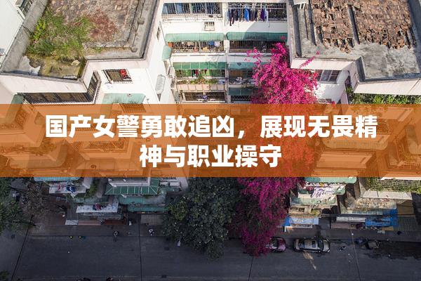 国产女警勇敢追凶，展现无畏精神与职业操守