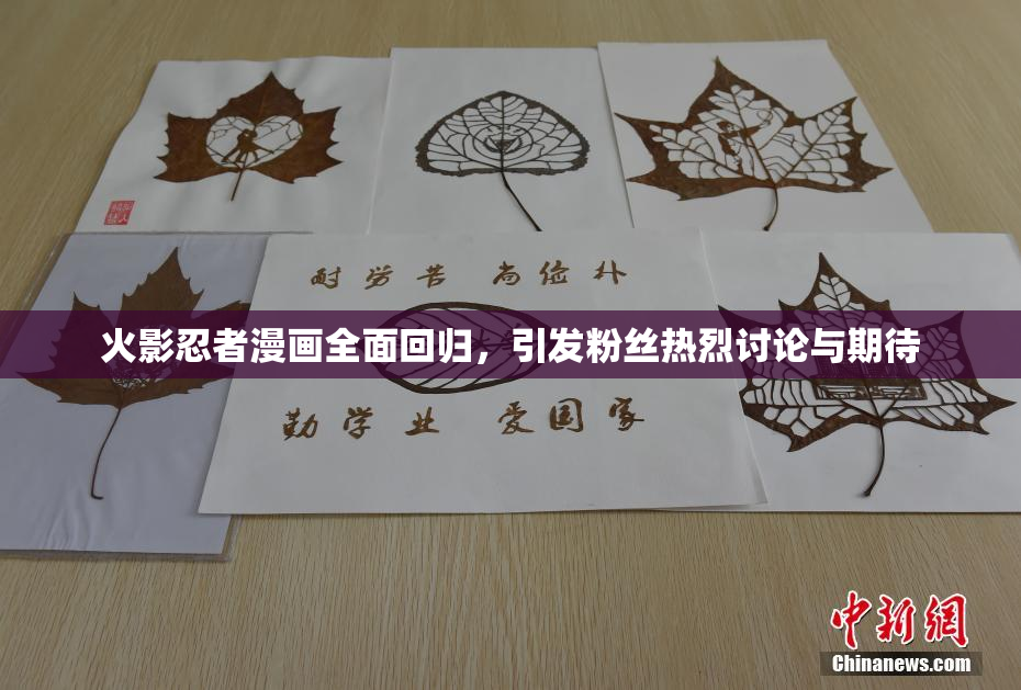 火影忍者漫画全面回归，引发粉丝热烈讨论与期待