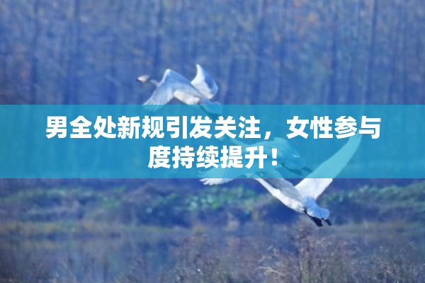男全处新规引发关注，女性参与度持续提升！