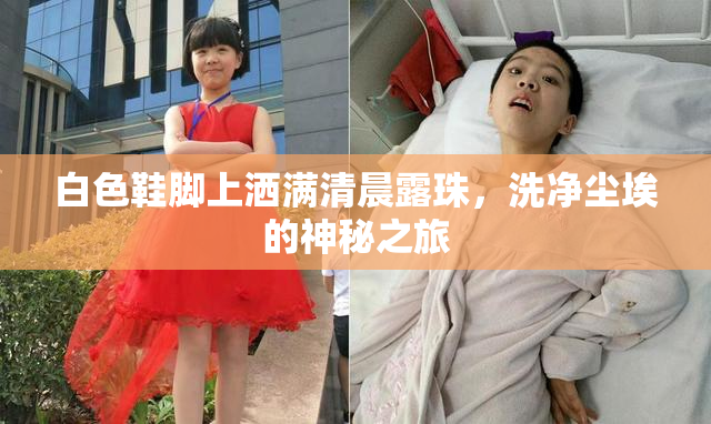 白色鞋脚上洒满清晨露珠，洗净尘埃的神秘之旅