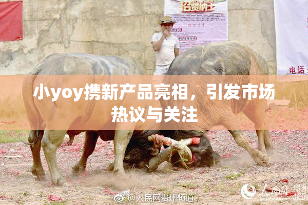 小yoy携新产品亮相，引发市场热议与关注