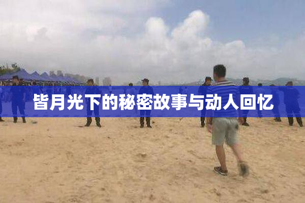 皆月光下的秘密故事与动人回忆