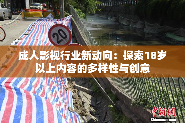 成人影视行业新动向：探索18岁以上内容的多样性与创意