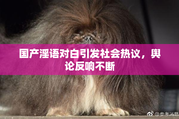 国产淫语对白引发社会热议，舆论反响不断