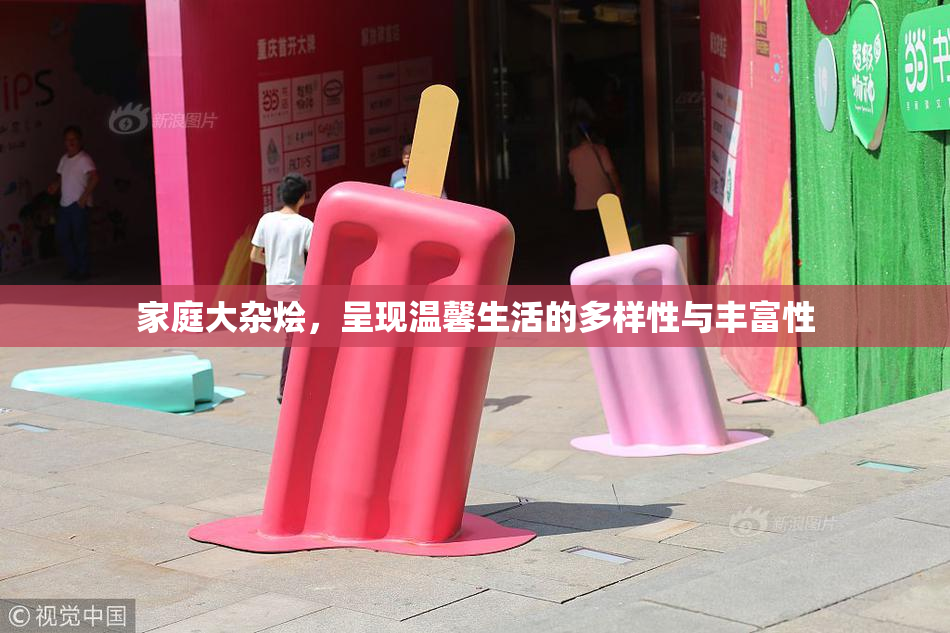 家庭大杂烩，呈现温馨生活的多样性与丰富性