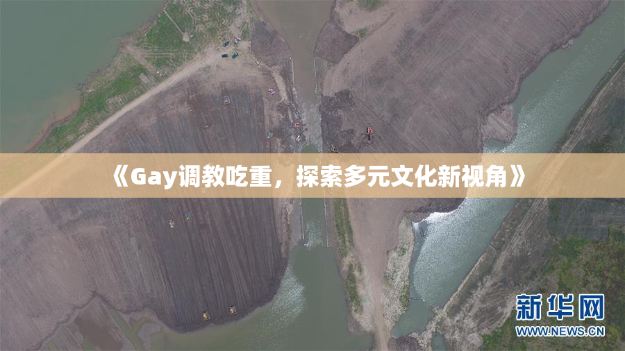 《Gay调教吃重，探索多元文化新视角》