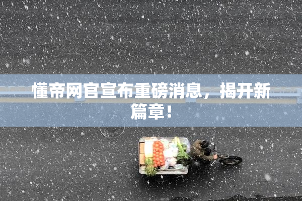 懂帝网官宣布重磅消息，揭开新篇章！