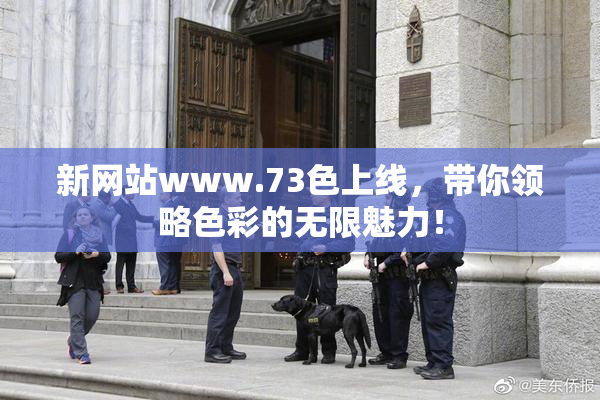 新网站www.73色上线，带你领略色彩的无限魅力！