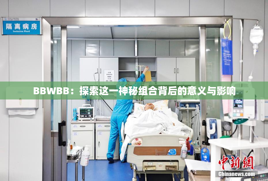 BBWBB：探索这一神秘组合背后的意义与影响