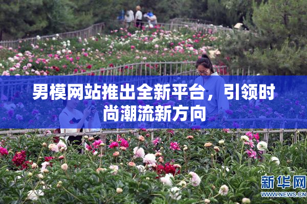 男模网站推出全新平台，引领时尚潮流新方向