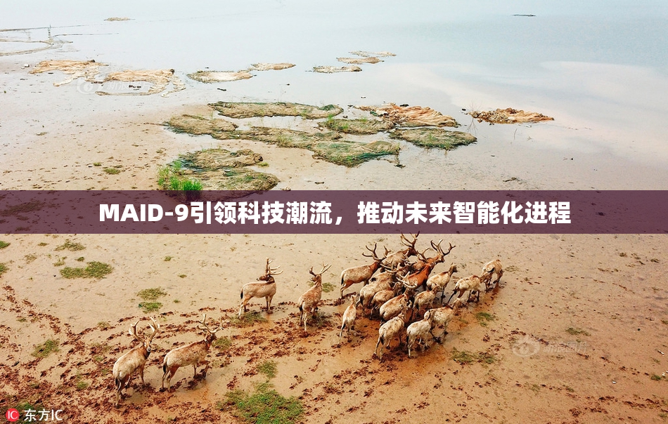 MAID-9引领科技潮流，推动未来智能化进程