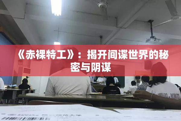 《赤裸特工》：揭开间谍世界的秘密与阴谋