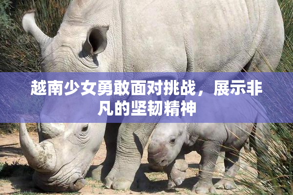 越南少女勇敢面对挑战，展示非凡的坚韧精神