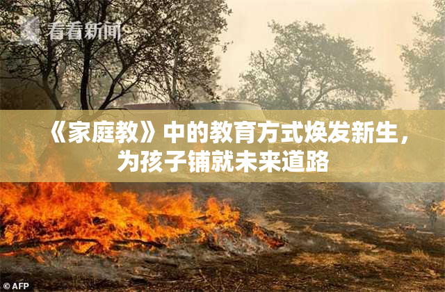 《家庭教》中的教育方式焕发新生，为孩子铺就未来道路