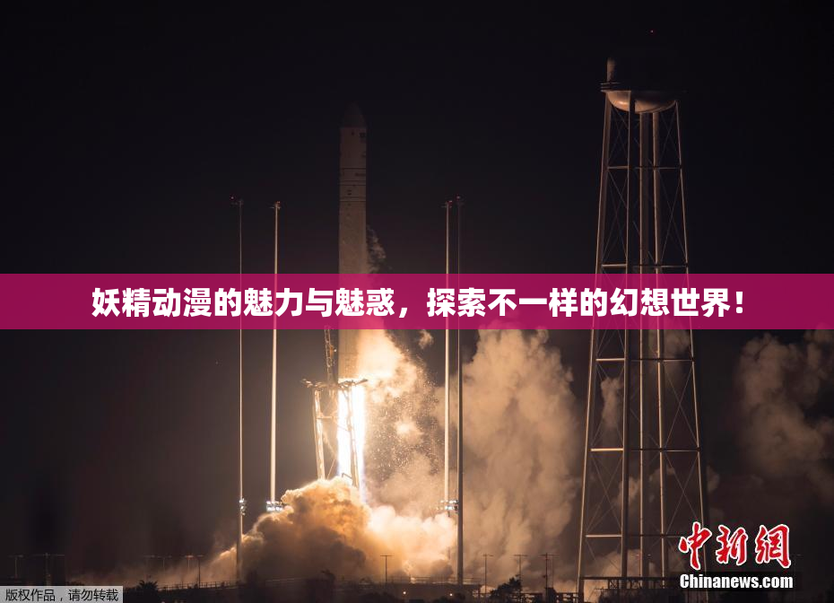 妖精动漫的魅力与魅惑，探索不一样的幻想世界！