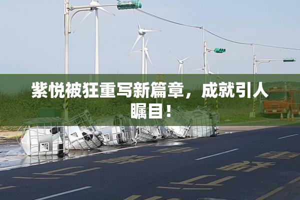 紫悦被狂重写新篇章，成就引人瞩目！